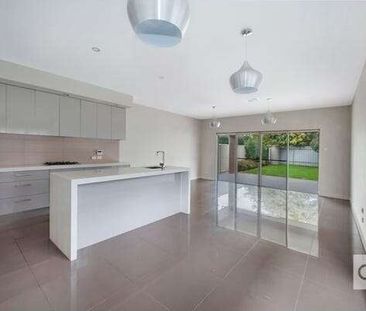 Black Forest - Photo 4