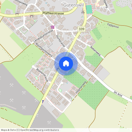 Winterthurerstrasse 14, 8605, Gutenswil