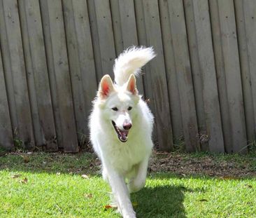 Mudgeeraba - Photo 3