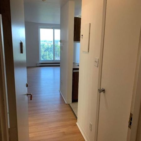 1 CH - 1 SDB - Montréal - $1,245 /mo - Photo 4