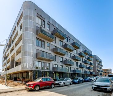 4240 Rue Augustin-Frigon, app.116, H1Y 0E4, H1Y 0E4, Montréal - Photo 4