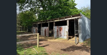 Large home with land and paddocks - Photo 4