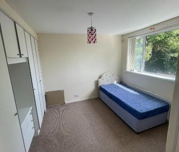 45 Fernagh Drive, Newtonabbey, BT37 0BH - Photo 5
