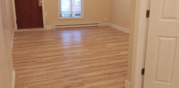 very nice and big 3.5 apartment for rent-APPLIANCES INCLUDED - Photo 2