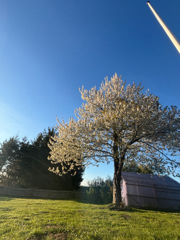 Hassleberga, Lund - Foto 4