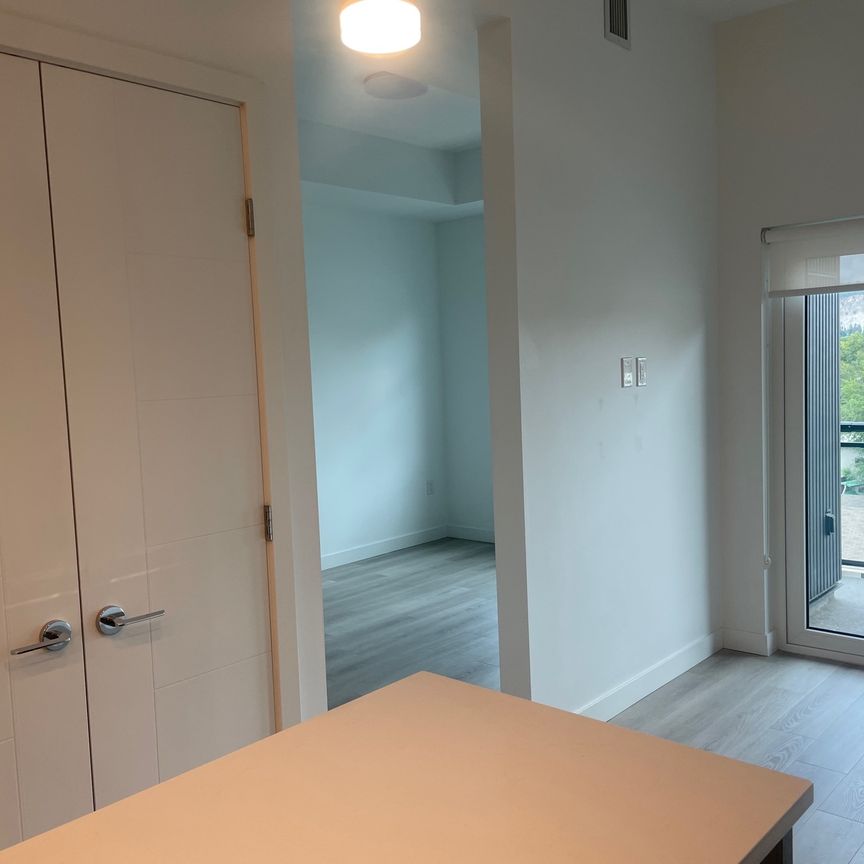 Top Floor New 1 Bedroom Near Downtown - Photo 1