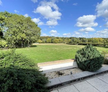 3 bedroom house to rent - Photo 5