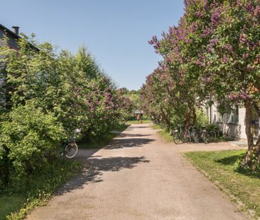 Väktargatan 36 C, 75422, Uppsala - Photo 1