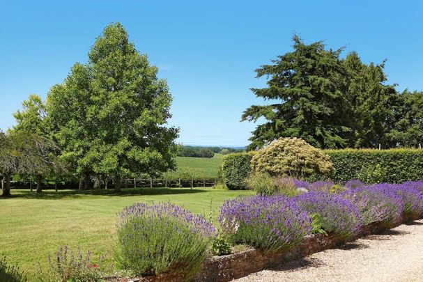 6 bedroom detached house to rent - Photo 1