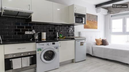 Studio for rent in Universidad. - Photo 4