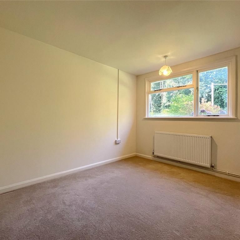 3 bedroom bungalow to rent - Photo 1