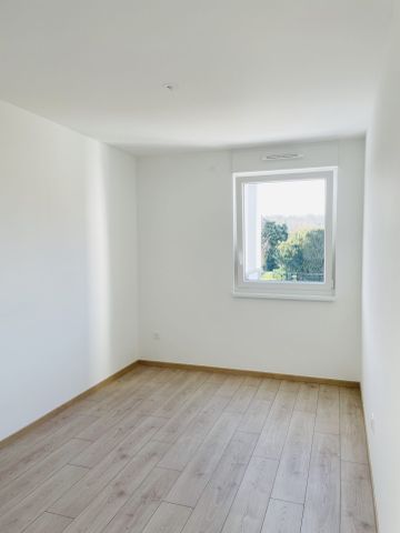 MITTELHAUSBERGEN, 67206, Mittelhausbergen - Photo 3