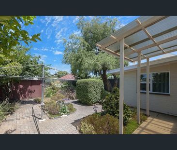 Character Cottage Living in a Prime Stepney Location - Photo 1