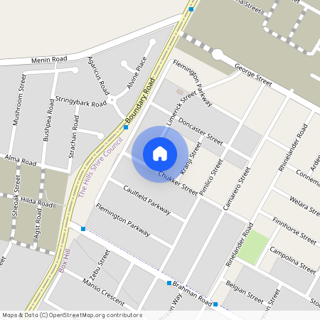 3 Limerick Street, NSW 2765, Box Hill