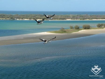 Luxury Broadwater Living - Marine Parade, Labrador - Photo 5