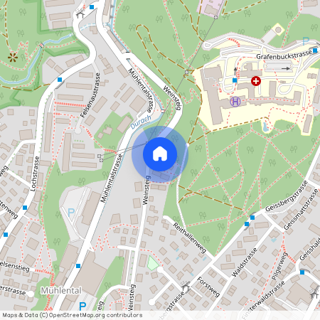 Weinsteig, 214, 8200, Schaffhausen