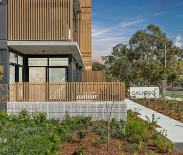 Brand new designer ground floor living with private courtyard - Photo 6