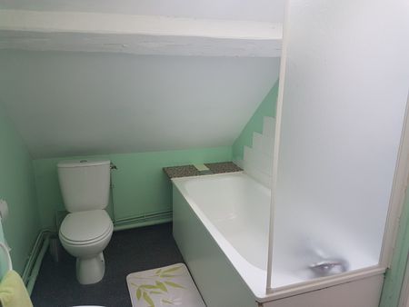 Location Appartement 1 pièce 13m² VALENCIENNES 59300 - Photo 5