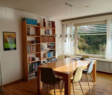 MAISON DE 6 PIÈCES À RAPPERSWIL (SG), MEUBLÉE, TEMPORAIRE - Foto 4