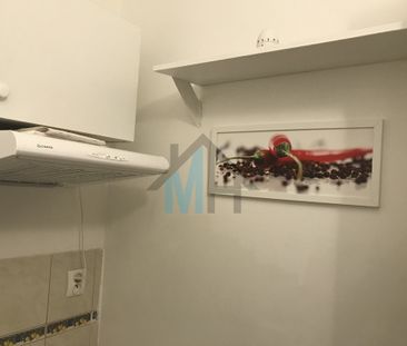 Warszawa, Żoliborz, Sady Żoliborskie - Zdjęcie 3