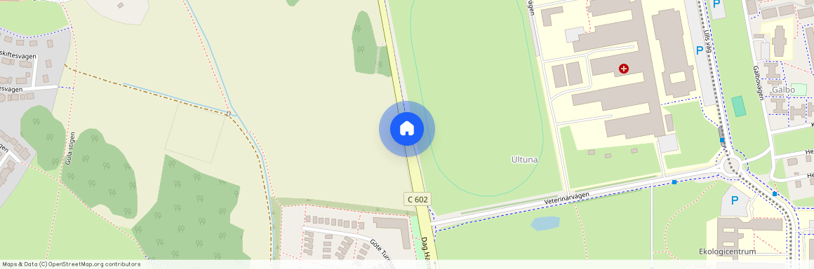 Dag Hammarskjölds Väg, Uppsala