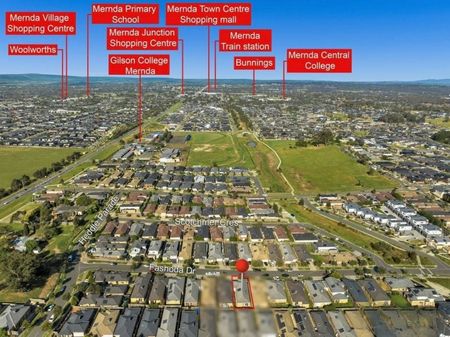 Step Into Style: - Photo 4