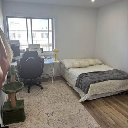 Appartement 1 chambre (3 et demi) - 1-bed apartment - Photo 3