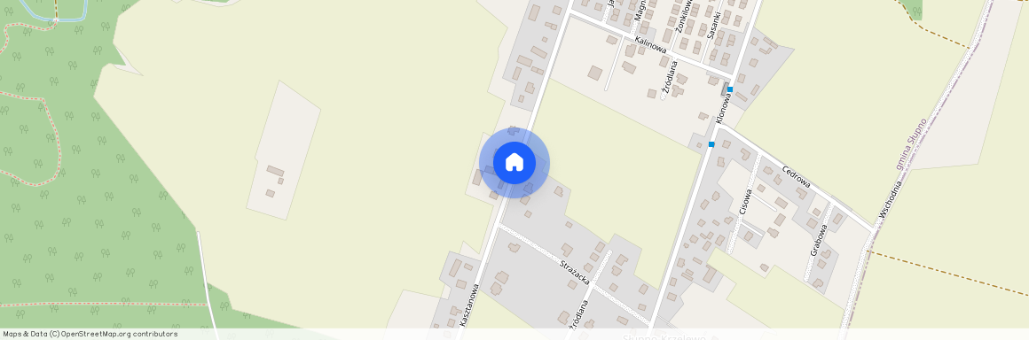 Płocki, Słupno, Kasztanowa