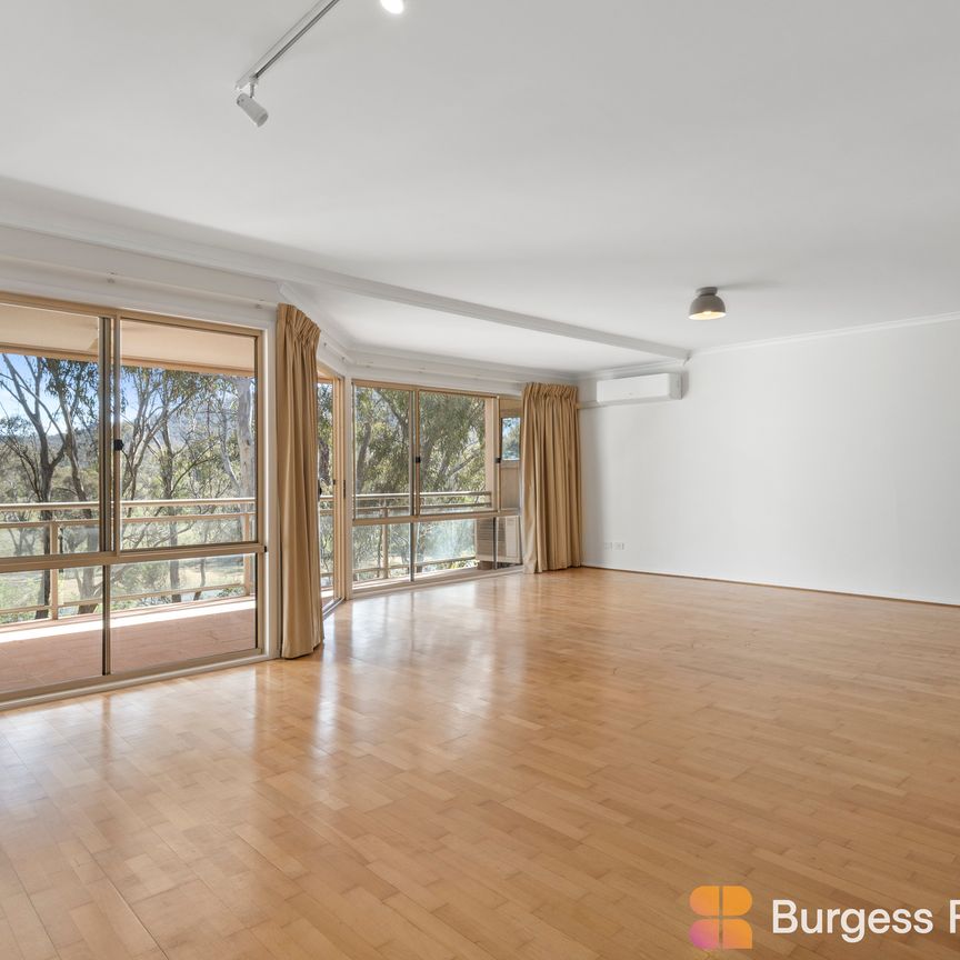 43/34 Leahy Close, Narrabundah ACT 2604 - Apartment For Rent | Domain - Photo 1