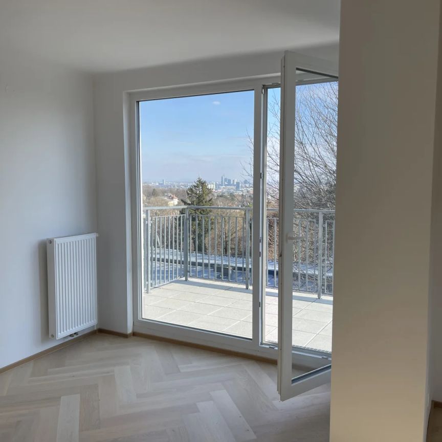 PENTHOUSE LIVING - ATEMBERAUBENDER WIENBLICK - DREI RIESEN TERRASSEN - ERSTBEZUG!! - Photo 1