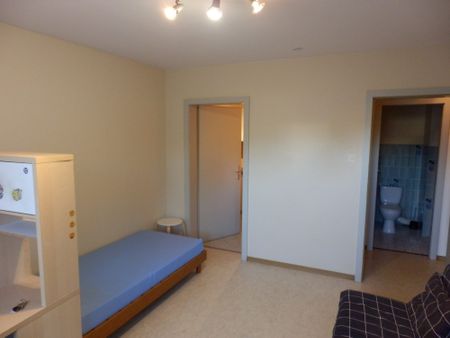 Location Appartement 1 pièce 26m² STRASBOURG 67100 - Photo 4