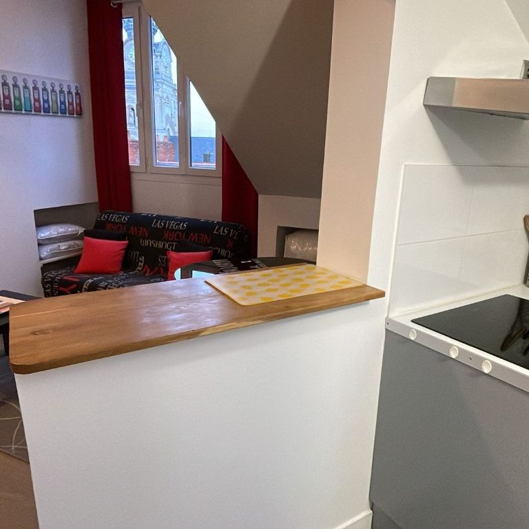 Location Appartement 1 pièce Meublé 13m² NANTES 44000 - Photo 1