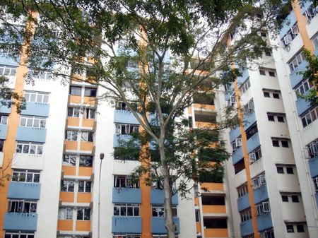 Blk 176 Boon Lay Green (Jurong West), HDB 3 Rooms - For Rent - Photo 4