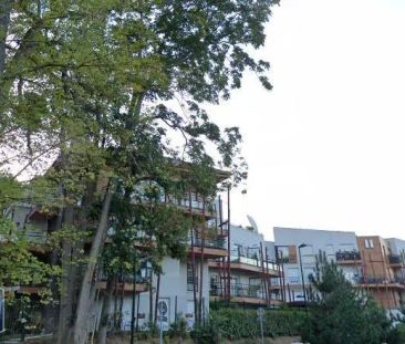 Appartement à louer 2 pièces 41.83m² - Photo 1