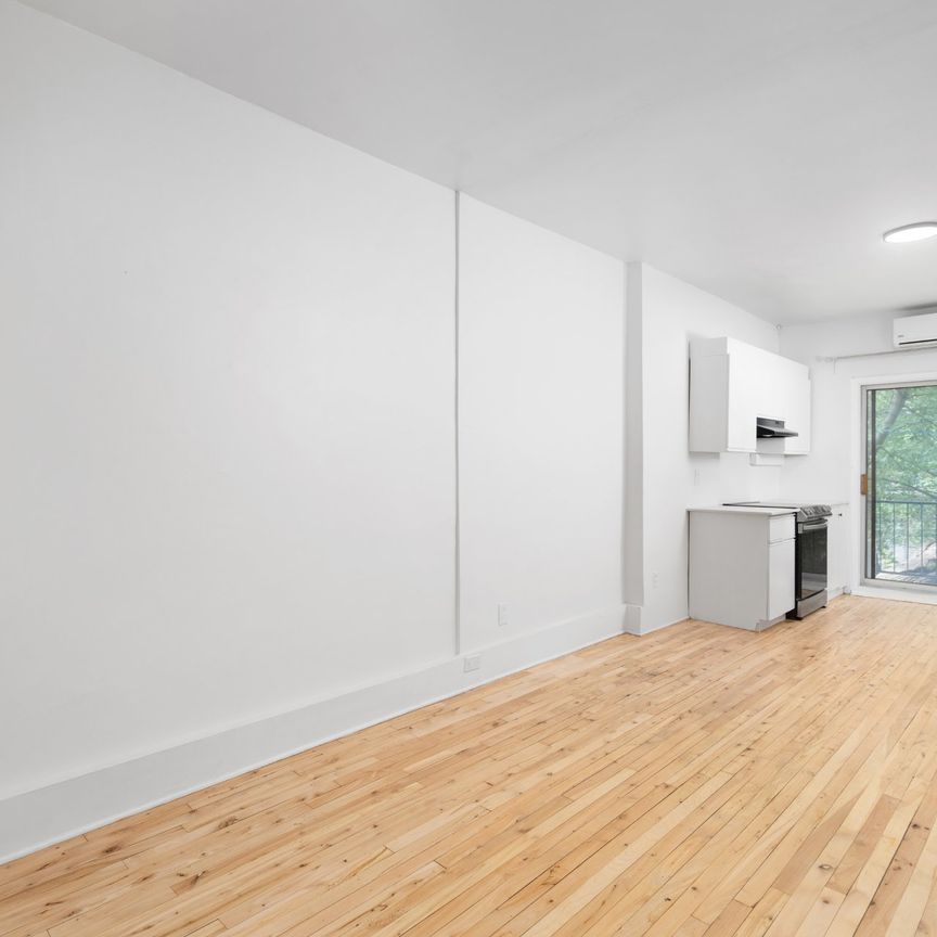 Appartement à louer à Montréal (Le Plateau-Mont-Royal) - Photo 1