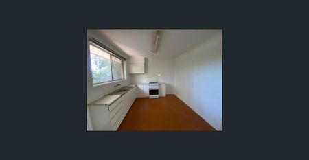 WALK EVERYWHERE! - Photo 3