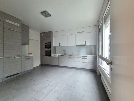 Bel appartement de 6 pièces avec piscine au Petit-Saconnex - Foto 2