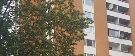 Kista - 1rok - 6mån - 4.249kr/mån - Foto 1