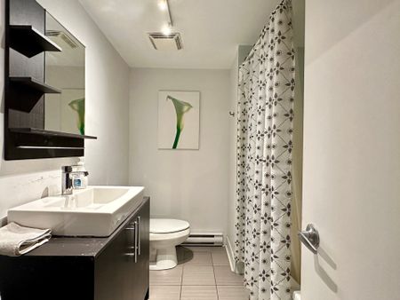 415 Rue des Récollets, Montréal (Ville-Marie), QC H2Y - Photo 2