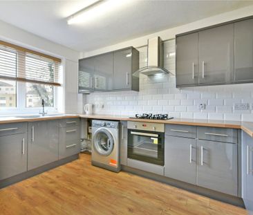 Springfield Lane - Photo 3