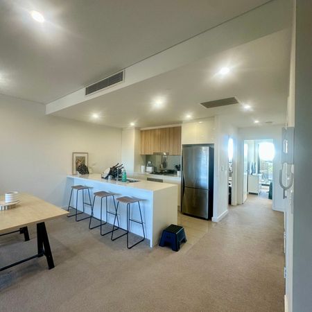 Dulwich Hill - Photo 4