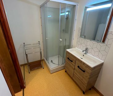 Location Appartement 2 pièces 45m² CHATELLERAULT 86100 - Photo 2