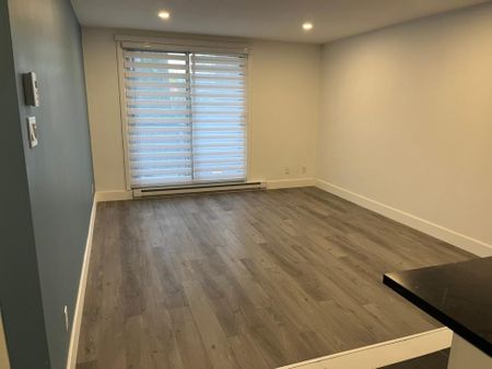 Appartement à louer - Montréal (Ahuntsic-Cartierville) (Nouveau Bordeaux) - Photo 3