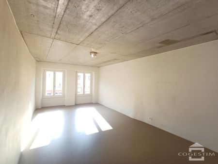 Appartement traversant avec une belle luminosité, centre ville! - Photo 5