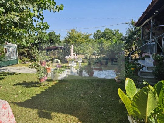 Μονοκατοικία για ενοικίαση Ανεμόμυλος (Αμαλιάδα) - Photo 1