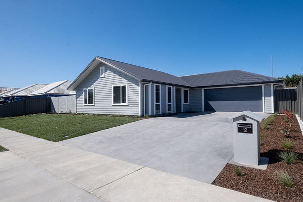 Modern Haven in Taradale - Photo 1