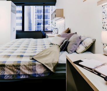 King Studio - Photo 5