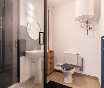 Location Appartement 1 pièce Meublé 25m² ANNECY 74000 - Photo 3