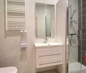 Location Appartement 1 pièce 28m² BARR 67140 - Photo 4