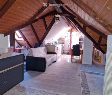 1 Zimmer, 51 m² - Photo 1